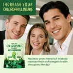 SWIYIE Chlorophyll Stick Packs: Remove Bad Breath Supercharge Your - Image 3