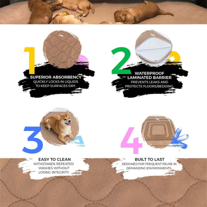 Reusable Dog Pee Pads - Dogs Waterproof Training Pads - Washable & Sanitary - Rounded Corners - Laminated, Lightweight, Durable - Pet Essentials Puppy Training, Whelping - 60" X 60" - Image 5
