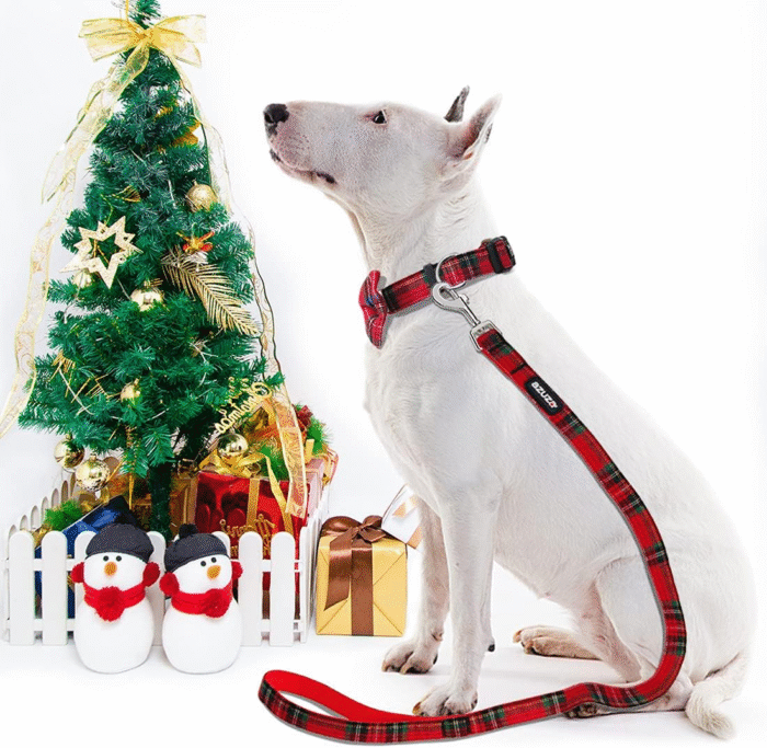 Christmas Buffalo Dog Collar and Leash Set, Classic Plaid Collar with Removable Bowtie and Matching Leash for Large Dogs - Image 8