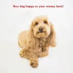 Rectangle Large Dog Bed Washable – Non Slip Comfy Pet Bed – Dog Crate Bed with Removable Washable Cover – Dog Kennel Bed for Sleeping - Dog Bed X-Large Breed 50X42X5 Inch – Black - Image 7