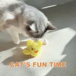 Interactive Cat Toys for Indoor Cats Rechargeable Automatic Chirping Duck Cat Toy with Catnip Auto Beating Wings Cat Toy - Image 2