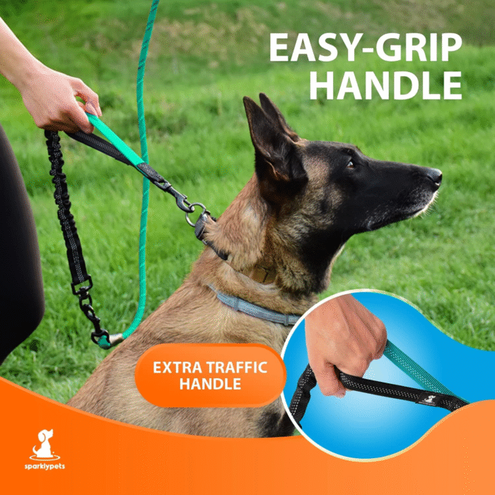 Heavy Duty Rope Bungee Leash for Large and Medium Dogs with Anti-Pull for Shock Absorption - No Slip Reflective Lead for outside (Teal, Bungee Leash- 5.5 Ft) - Image 2