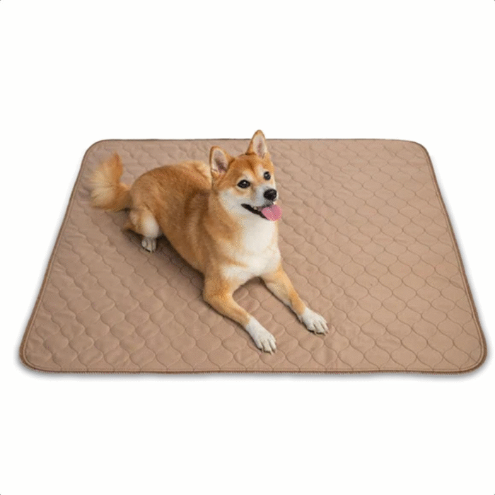 Reusable Dog Pee Pads - Dogs Waterproof Training Pads - Washable & Sanitary - Rounded Corners - Laminated, Lightweight, Durable - Pet Essentials Puppy Training, Whelping - 60" X 60" - Image 1