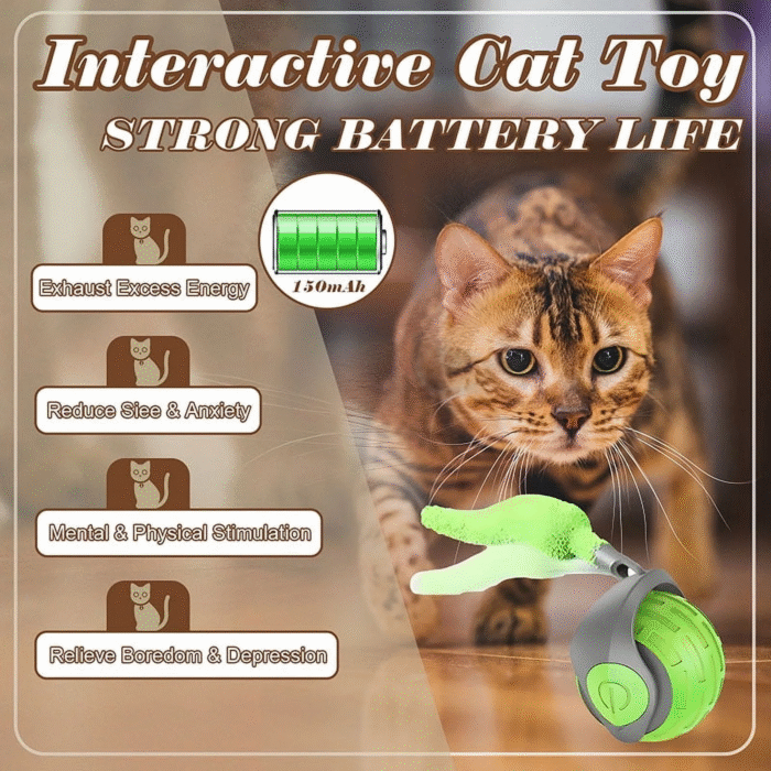 Cat Interactive Ball Toys Rolling Ball Faux Tail Rechargeable Smart Pet Toys Interactive Toys for Indoor Cats（2Pcs)） - Image 6