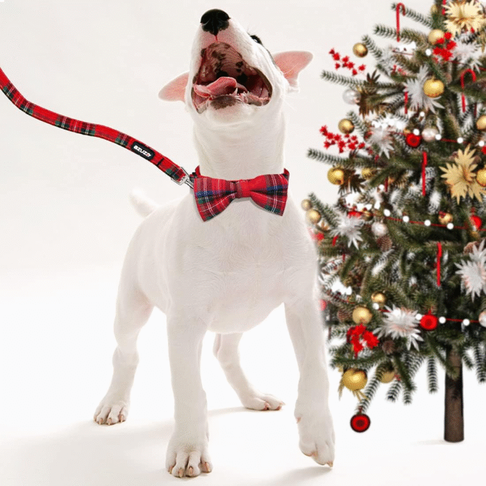 Christmas Buffalo Dog Collar and Leash Set, Classic Plaid Collar with Removable Bowtie and Matching Leash for Large Dogs - Image 7