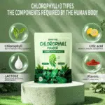 SWIYIE Chlorophyll Stick Packs: Remove Bad Breath Supercharge Your - Image 5