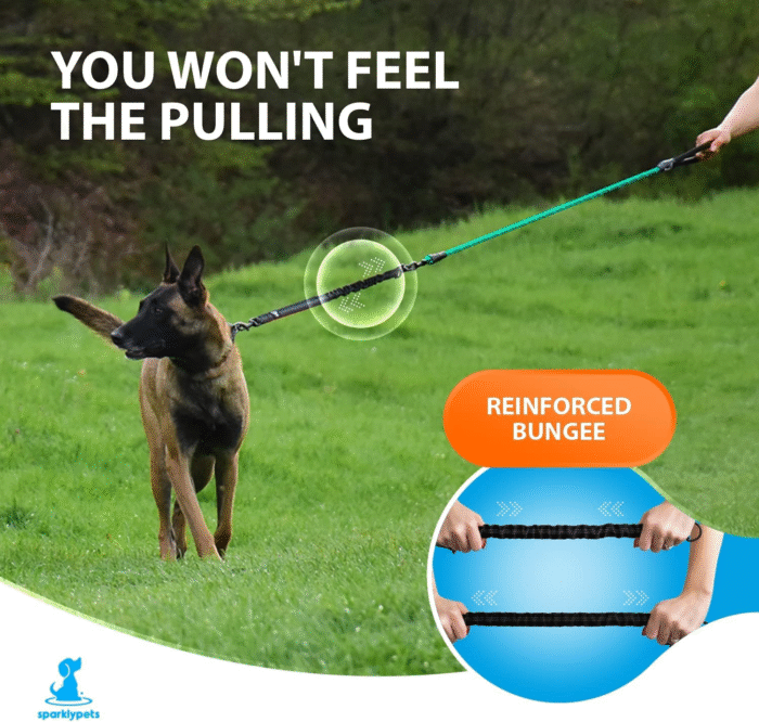 Heavy Duty Rope Bungee Leash for Large and Medium Dogs with Anti-Pull for Shock Absorption - No Slip Reflective Lead for outside (Teal, Bungee Leash- 5.5 Ft) - Image 3