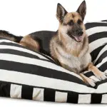 Rectangle Large Dog Bed Washable – Non Slip Comfy Pet Bed – Dog Crate Bed with Removable Washable Cover – Dog Kennel Bed for Sleeping - Dog Bed X-Large Breed 50X42X5 Inch – Black