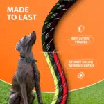 Heavy Duty Rope Bungee Leash for Large and Medium Dogs with Anti-Pull for Shock Absorption - No Slip Reflective Lead for outside (Teal, Bungee Leash- 5.5 Ft) - Image 5