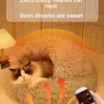 Electric Heated Cat Bed with Adjustable Temperature