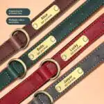 Personalized Anti-Loss Leather Dog Collar with Free Engraved Name Tag – Adjustable Pet ID Collar (XS–XL) - Image 4