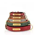 Personalized Anti-Loss Leather Dog Collar with Free Engraved Name Tag – Adjustable Pet ID Collar (XS–XL)