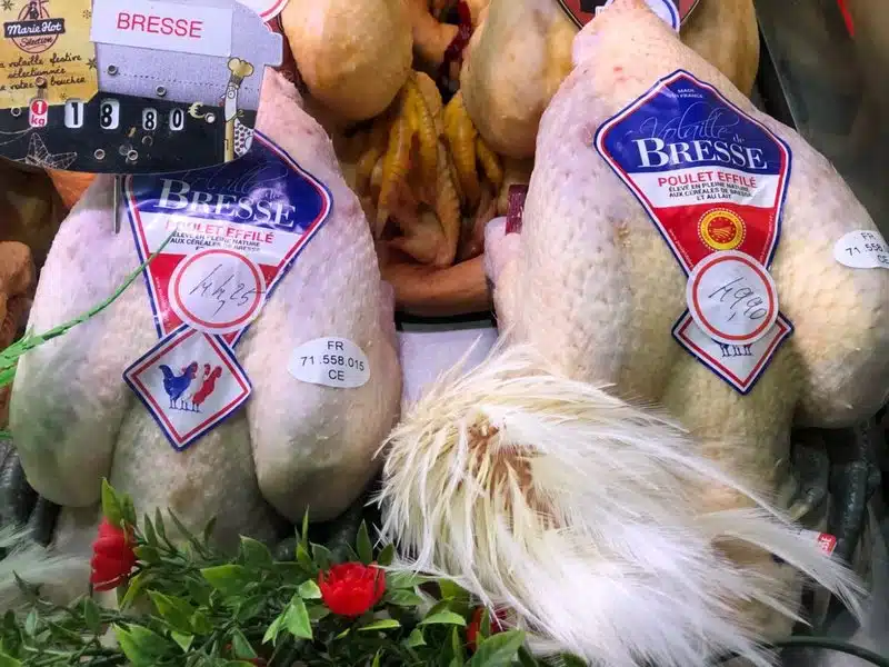 Découvrez la Route du Poulet : Un Jeu de Casino Révolutionnaire en France, chicken road app